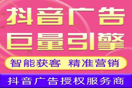 谷歌SEM案例研究：广告预算分配与优化